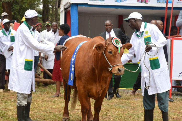 2022 NAIROBI INTERNATIONAL TRADE FAIR Agricultural Society of Kenya
